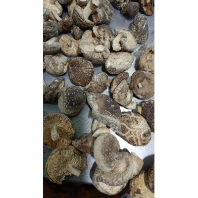 随州香菇花菇白花菇可批发纯净重无干燥剂肉厚干货商用家用干香菇图5