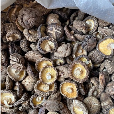 新货西峡香菇干货500g饭店餐饮散装批发无根冬菇黄焖鸡香信香菇干图2