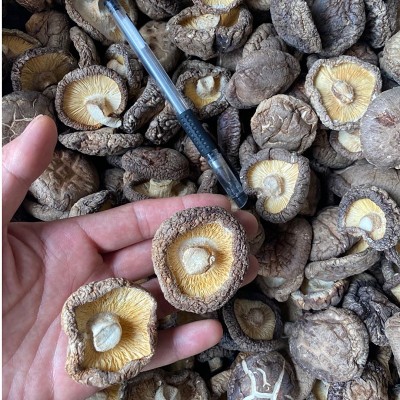 新货西峡香菇干货500g饭店餐饮散装批发无根冬菇黄焖鸡香信香菇干图3