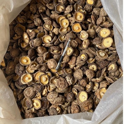新货西峡香菇干货500g饭店餐饮散装批发无根冬菇黄焖鸡香信香菇干图4