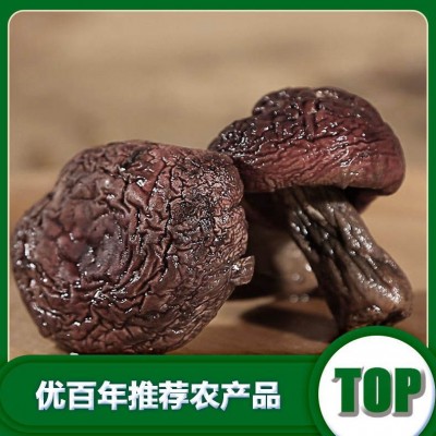 北方切条红蘑晒干北方红蘑厂家批发干货红蘑批发货源批发图2