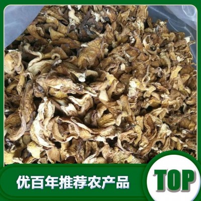 北方元蘑厂家批发干货元蘑批发货源批发图4
