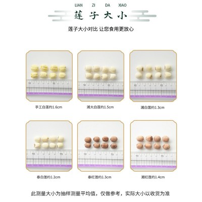贡莲皇 泰去芯白莲子批发 2023新鲜通芯白莲干货产地直供通芯莲子图2