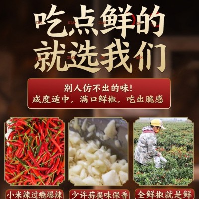 牛乐哥 商用拌饭酱辣椒酱特辣500g剁椒酱彩椒酱双椒酱 辣椒酱批发图4