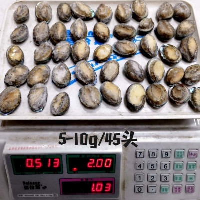 5-10g 带壳小鲍鱼鲍鱼仔珍珠小鲍鱼漂烫鲍鱼肉珍珠鲍鱼散装鲍鱼图3