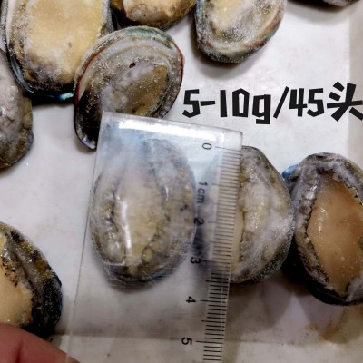 5-10g 带壳小鲍鱼鲍鱼仔珍珠小鲍鱼漂烫鲍鱼肉珍珠鲍鱼散装鲍鱼图2