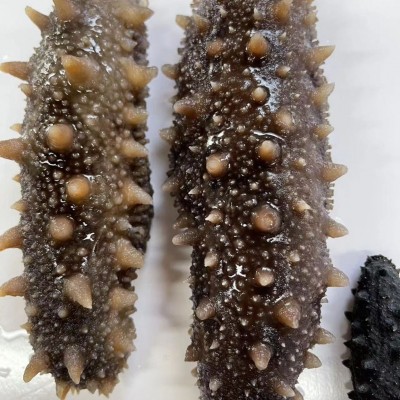 大连海参淡干海参大连辽刺参海参干货50g非即食海参散装可选礼盒图4