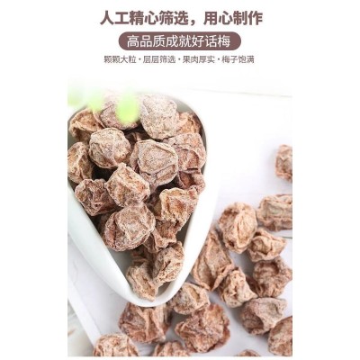 潮汕特产酸甜咸话梅甘草咸梅蜜饯孕妇零食话梅办公室果干果脯批发图5