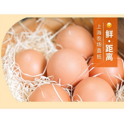 叶黄素+维生素D3鲜鸡蛋30枚/盒 1.5kg 新鲜无抗保洁蛋鸡蛋礼盒图5