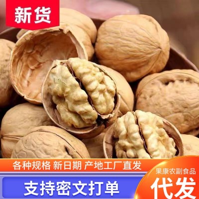 新疆特产185纸皮核桃熟核桃奶香五香草本 批发新疆考核桃图3