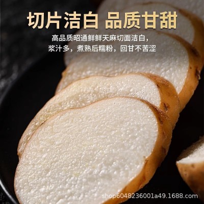 正宗云南中药昭通小草坝新鲜乌天麻仿野生特级现挖现发一件代发图3