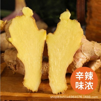 云南小黄姜新鲜批发生姜老姜新姜生鲜块姜1/2/3/5/8/9/10一件代发图2