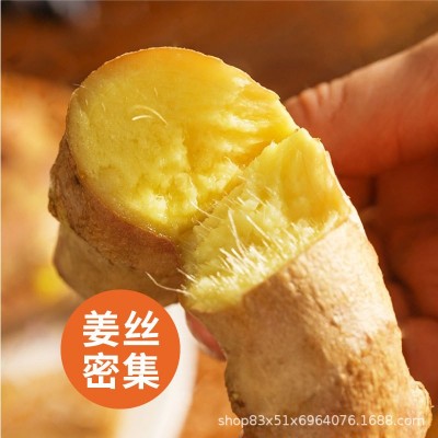云南小黄姜新鲜批发生姜老姜新姜生鲜块姜1/2/3/5/8/9/10一件代发图3