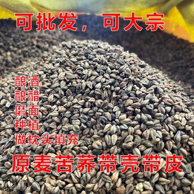 苦荞麦种子苦荞原材料灰苦荞五谷杂粮三角荞麦酿酒酿醋喂鸟磨面图3