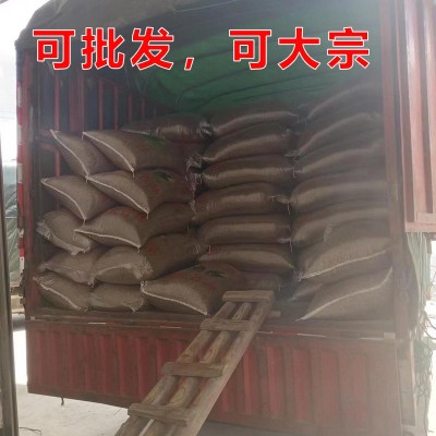 苦荞麦种子苦荞原材料灰苦荞五谷杂粮三角荞麦酿酒酿醋喂鸟磨面图4