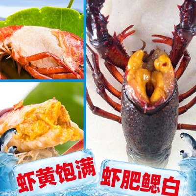 湖北潜江孝感江苏小龙虾鲜活批发清水养殖海鲜冷冻虾水产青虾爬子图2