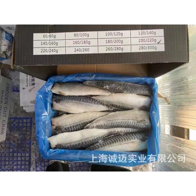 青花鱼片全规格批发，适合中西餐，海鲜自助，火锅，日料，烧烤图5