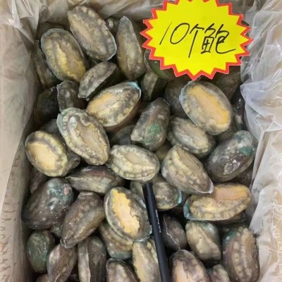 成都活冻鲍鱼批发20斤件 单冻散装鲍鱼中餐酒店 佛跳墙带壳鲍鱼图3