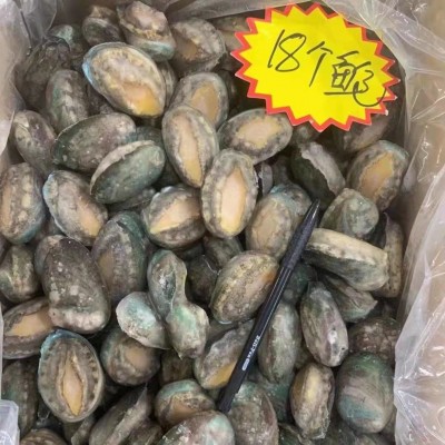 成都活冻鲍鱼批发20斤件 单冻散装鲍鱼中餐酒店 佛跳墙带壳鲍鱼图4