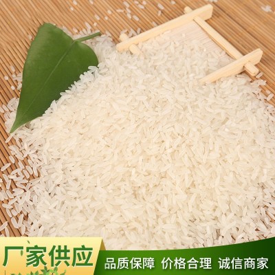 厂家批发玉倩 香米包装规格齐全5KG/10KG/15KG/25KG 精诚食品图2