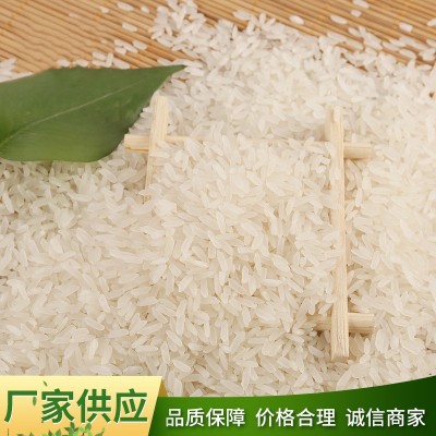 厂家批发玉倩 香米包装规格齐全5KG/10KG/15KG/25KG 精诚食品图3