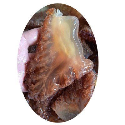 批发红海蜇头大叶片红蜇头大叶天然红蜇头红大角爽脆2斤起包邮图5