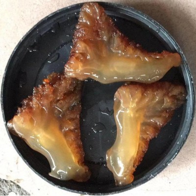 批发红海蜇头大叶片红蜇头大叶天然红蜇头红大角爽脆2斤起包邮图3