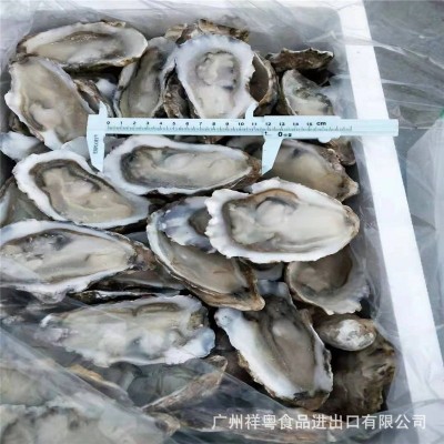 半壳生蚝急冻半壳生蚝半壳牡蛎半壳蚝 6打/72只8打/96只10打120只图4