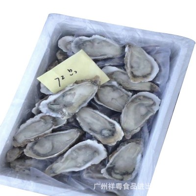 半壳生蚝急冻半壳生蚝半壳牡蛎半壳蚝 6打/72只8打/96只10打120只图5