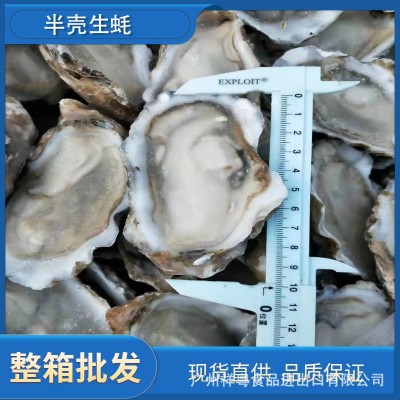半壳生蚝急冻半壳生蚝半壳牡蛎半壳蚝 6打/72只8打/96只10打120只图2