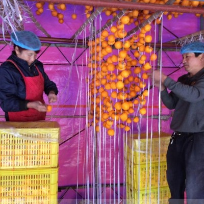 柿饼 柿饼批发 现货发售 储存方便 包装可定制 和兴食品图5