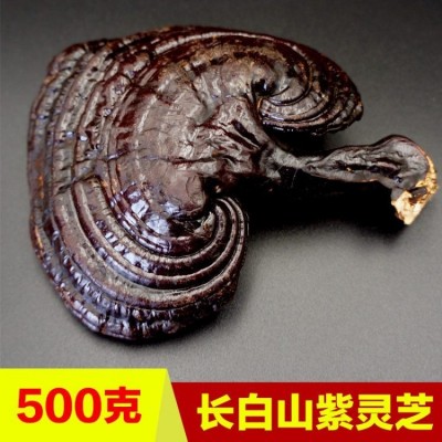 赤芝切片多钱 深山老林人工采摘直发 云芝灵芝草 半野生黑林芝图4