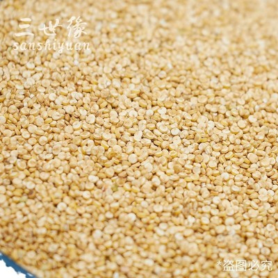 白藜麦秘鲁 玻利维亚白藜麦 新货批发 五谷杂粮原料散装图5