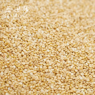 白藜麦秘鲁 玻利维亚白藜麦 新货批发 五谷杂粮原料散装图4