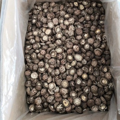 陕西秦岭花菇南北干货干香菇冬菇剪腿菌菇农产品产地批发一件代发图2