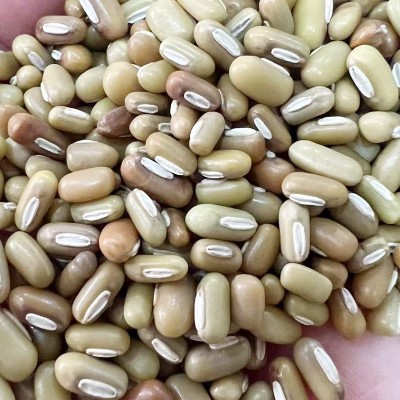 竹豆 五谷杂粮饭豆粗粮绿豆散装批发图3