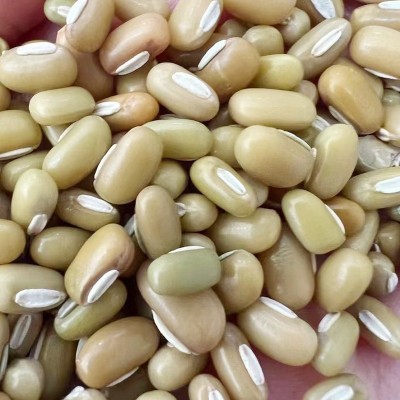 竹豆 五谷杂粮饭豆粗粮绿豆散装批发图2