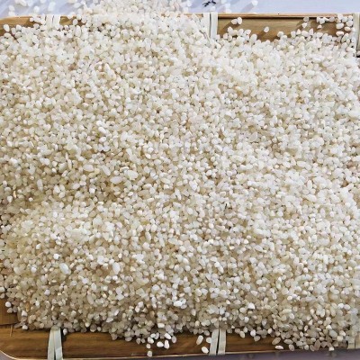 碎米 新鲜干净无杂质低价米打窝米窝料米粳米 量大从优图2