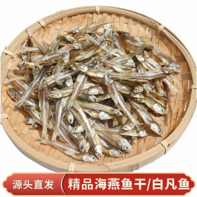 【源头晒厂】北海白凡鱼小鱼干咸鱼干银鱼干公干鱼鱼干咸鱼海鲜干图2