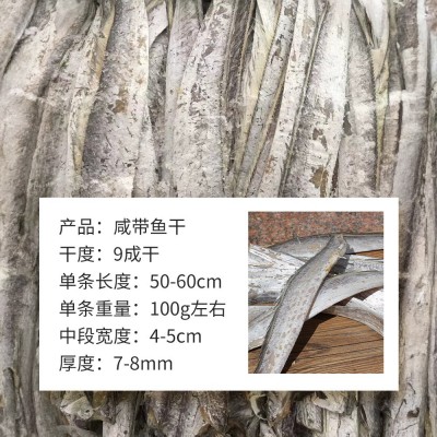 带鱼咸带鱼干单条100g新鲜风干带鱼咸鱼干货福建莆田海鲜500g图2