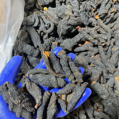 淡干海参皮去筋红极参酒店食材图3