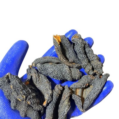 淡干海参皮去筋红极参酒店食材图5
