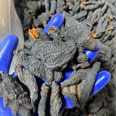淡干海参皮去筋红极参酒店食材图4