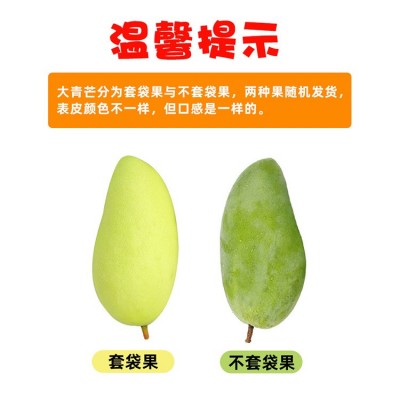 产地直供越南大青芒9斤整箱金煌大芒果青芒当季水果 新鲜芒果批发图2