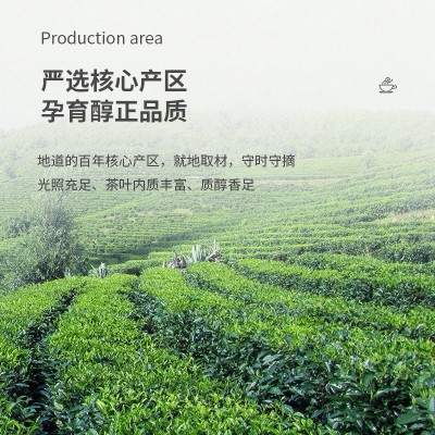 Lipton立顿茶包绿茶包优选黄山四川新鲜绿茶袋泡茶叶包100包200g图3