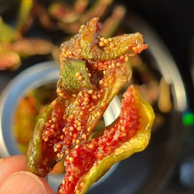 青皮无花果干新鲜即食软糯无糖无添加原味孕妇健康零食泡水煲汤图4