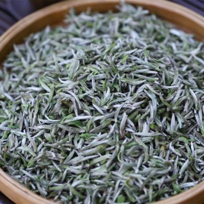 福鼎2023年春茶白茶明前茶叶福鼎米粒芽白茶首采白毫银针单芽批发图4