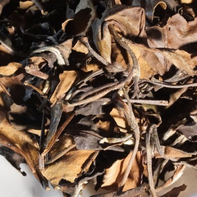 2016年寿眉散茶款高山老白茶正宗福鼎白茶500g散茶或整箱批发图2