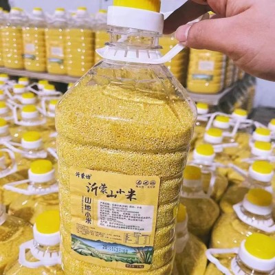桶装沂蒙山地小黄米优质养胃小米粥黄小米五谷杂粮粗粮黄小米图2