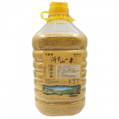 桶装沂蒙山地小黄米优质养胃小米粥黄小米五谷杂粮粗粮黄小米图5